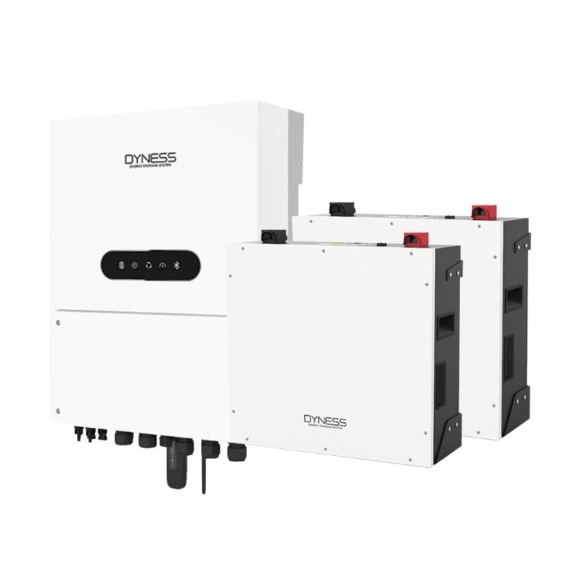 Dyness 8Kva Hybrid Inverter & 2x Dyness DL5.0C 51v 100ah 1.0C Lithium Batteries Combo