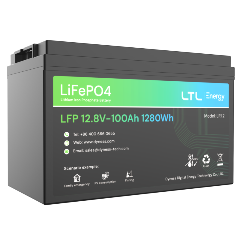 Dyness 12.8V 100ah LifeP04 Battery